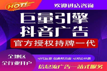 SEO与SEM优化案例：打造行业领先品牌